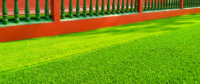 https://www.avengrass.com.tr/resimler/icerikresim/223.jpg