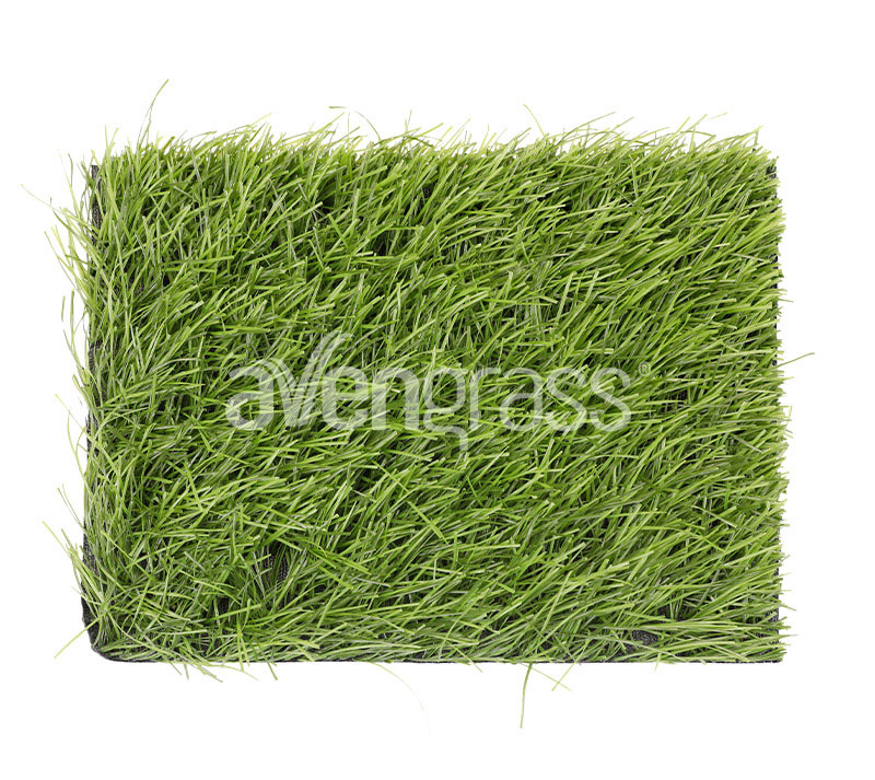 yapay çim powergrass - 2